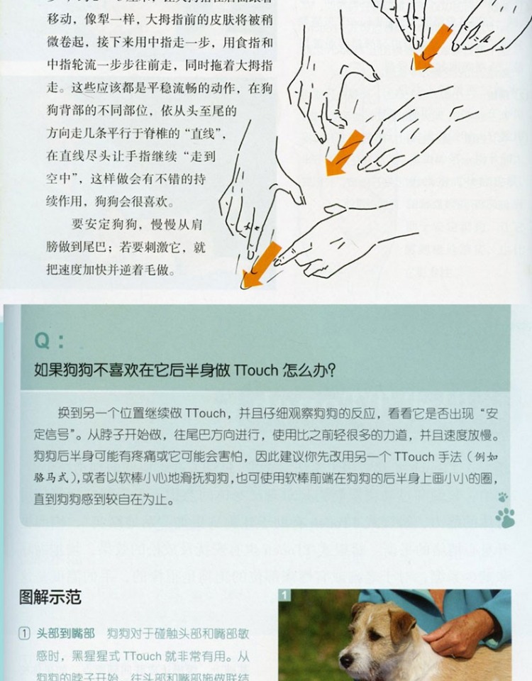 1700537737196663.jpg