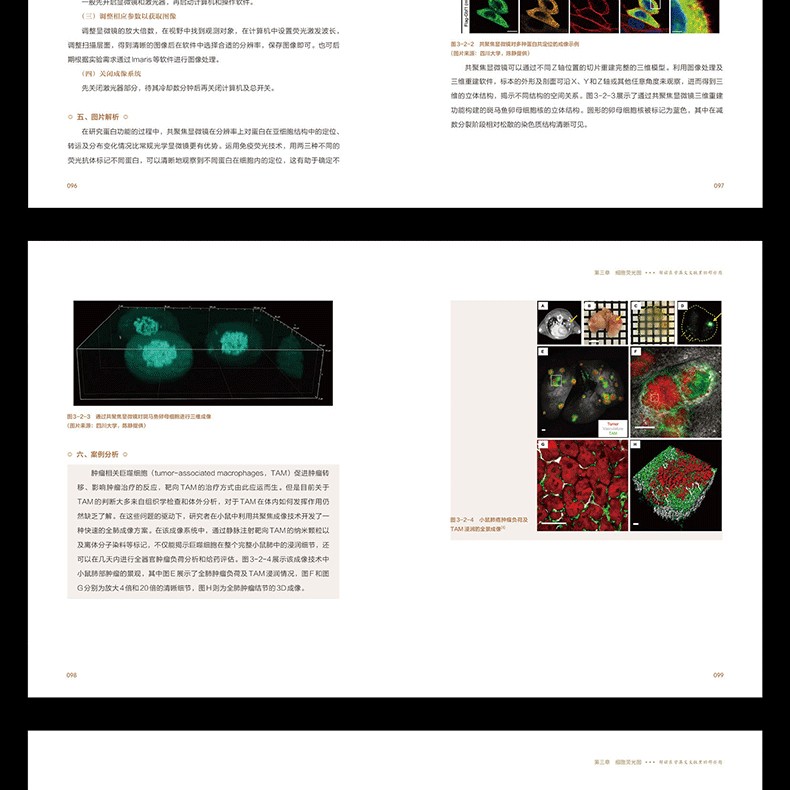 1783518433718988.jpg