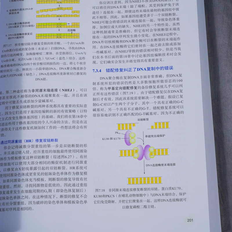 1785330815239683.jpg